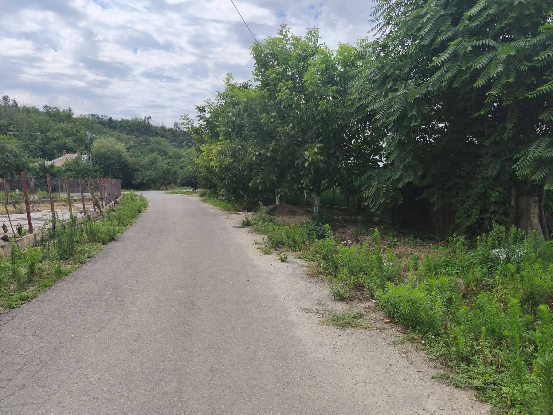 Vând Teren Intravilan 1430 mp Sat Izvoarele, Hotarele Giurgiu — fotografia 6 din 6