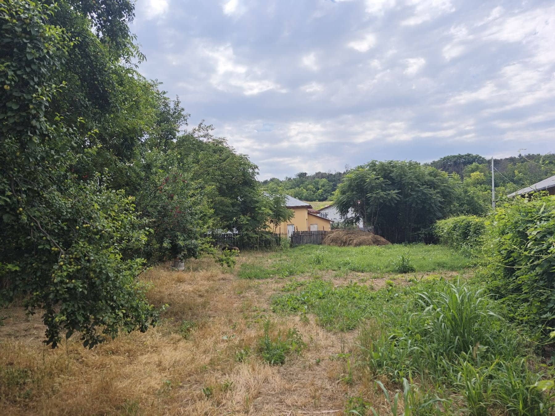 Vând Teren Intravilan 1430 mp Sat Izvoarele, Hotarele Giurgiu — fotografia 3 din 6
