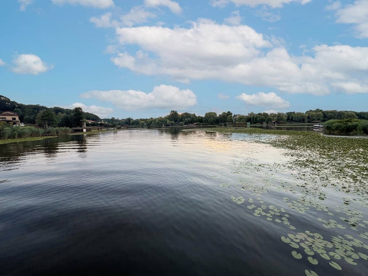 Teren în Snagov, intre Lac și Pădure — fotografia 4 din 9