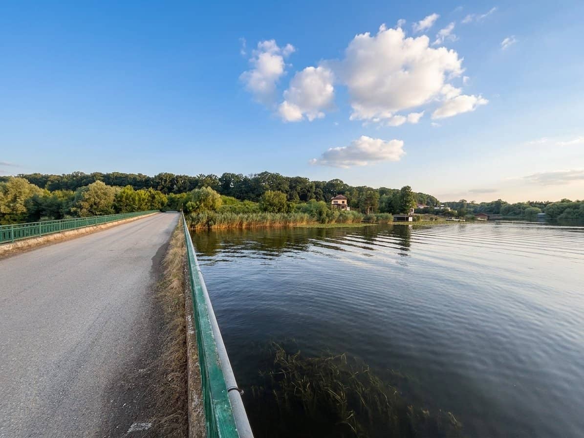 Teren în Snagov, intre Lac și Pădure — fotografia 7 din 9