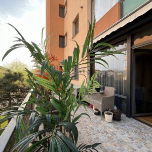 Garsoniera spatioasa de inchiriat– Terra Residence. Terasa si gradina. 