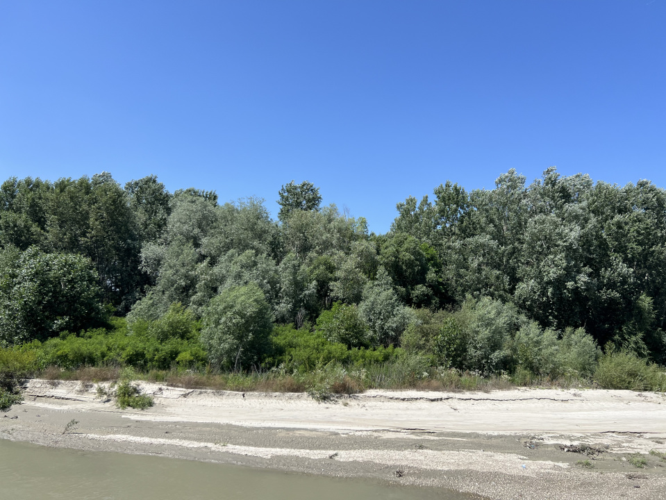 Refugiul Tau in Natura: Casa Moderna si Ultraluminoasa, Liniste Absoluta