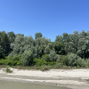 Refugiul Tau in Natura: Casa Moderna si Ultraluminoasa, Liniste Absoluta