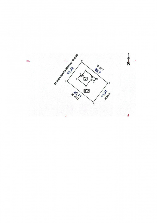 Casa P+1 Frumusani. Constructie 2025.