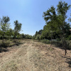 Teren Manastirea Snagov. Deschidere lac. Front stradal 30 metri. 