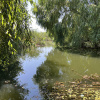 Teren Manastirea Snagov. Deschidere lac. Front stradal 30 metri. 